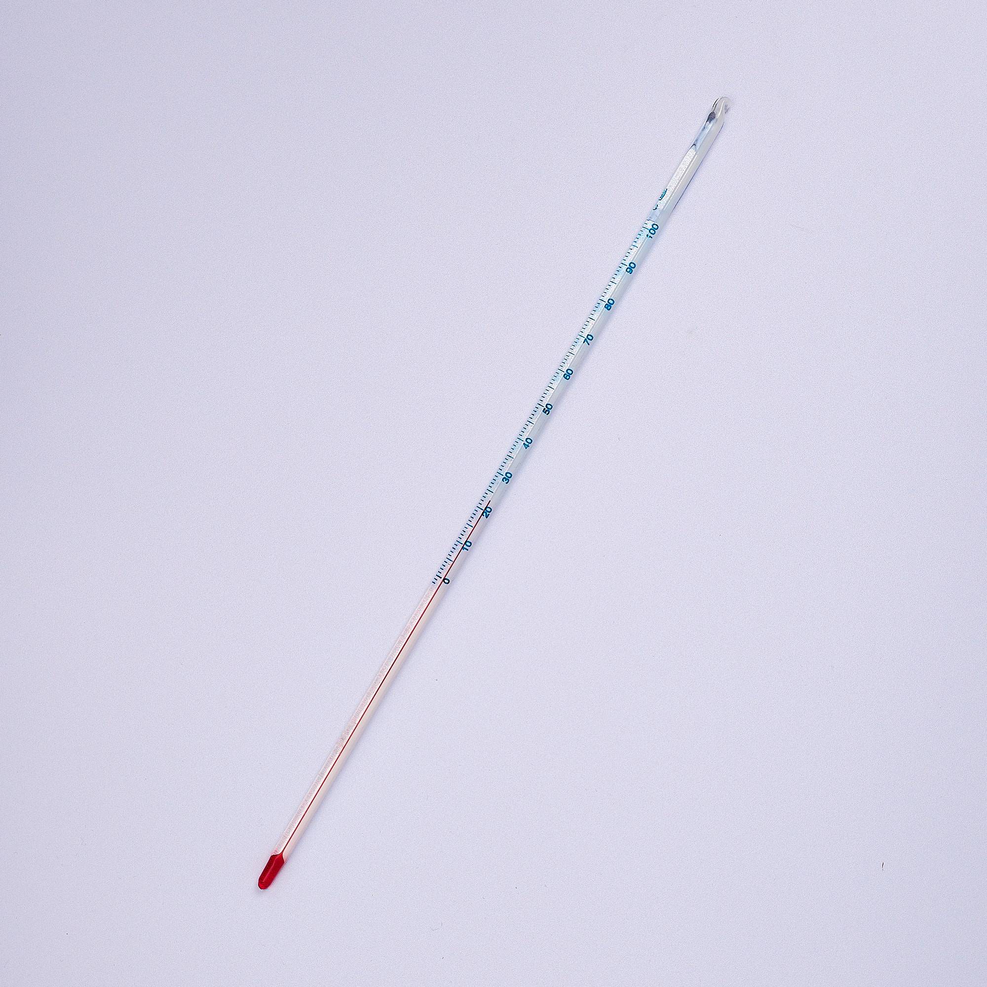 8997 Glass Thermometer