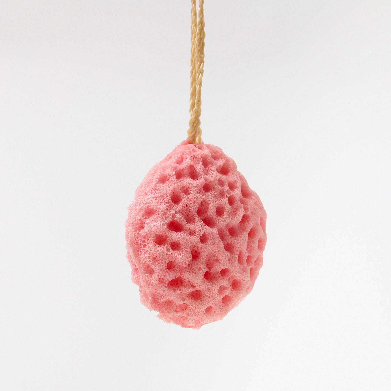 12392 Small Sponge - Pink