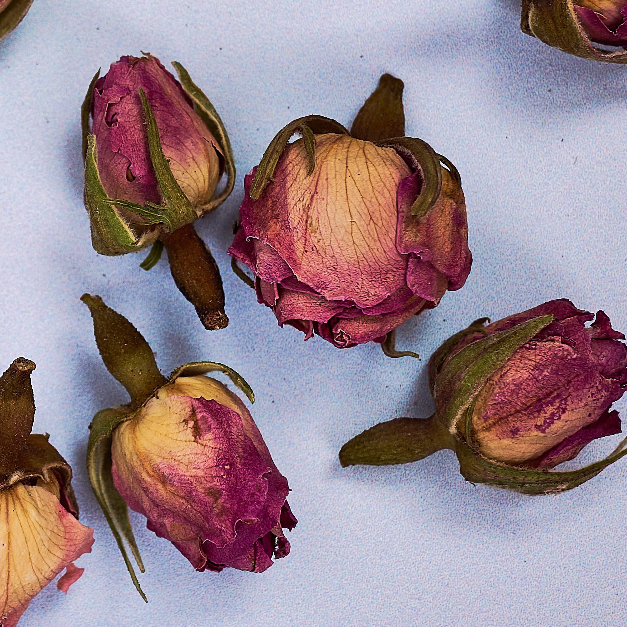 9613 Pink Rose Buds - Dried