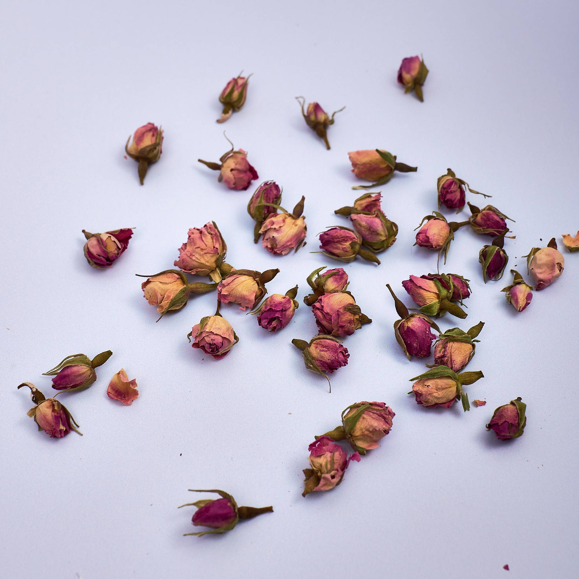 9614 Pink Rose Buds - Dried