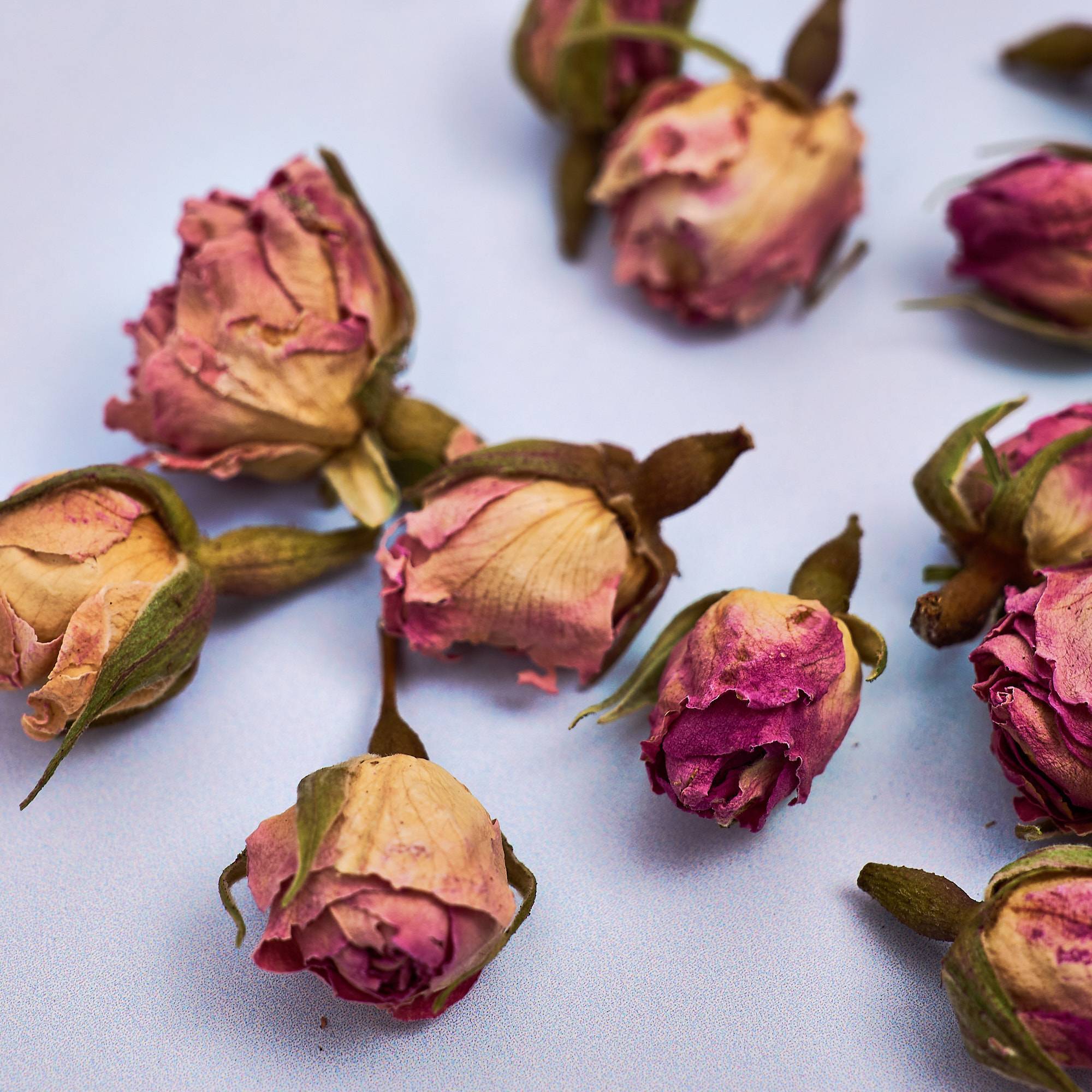 9615 Pink Rose Buds - Dried
