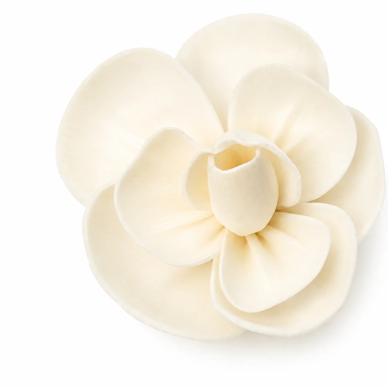 Flower Diffuser Reed - Camellia Flower Diffuser Reed - Camellia