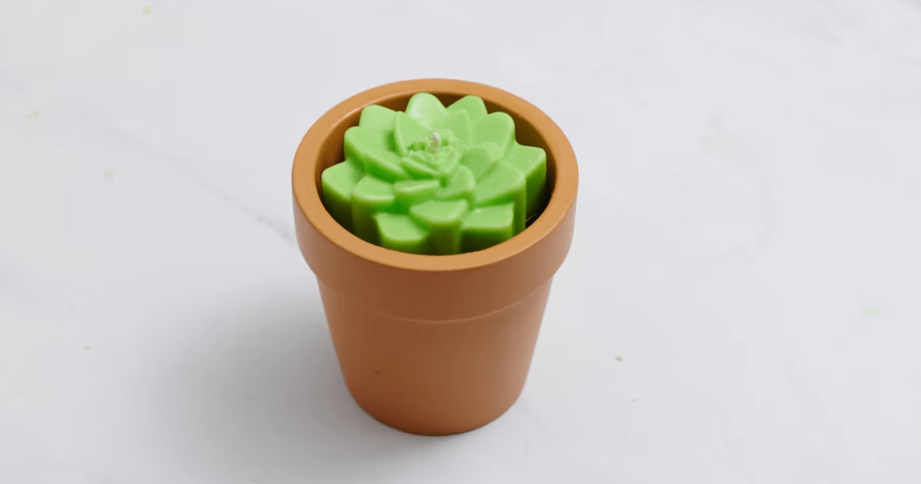 cactus candle cactus candle