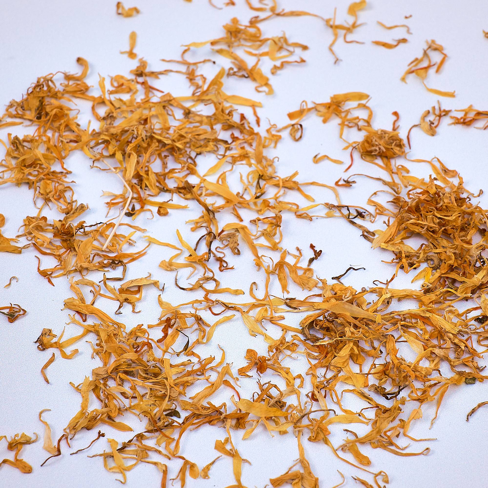 9574 Calendula Petals - Marigold