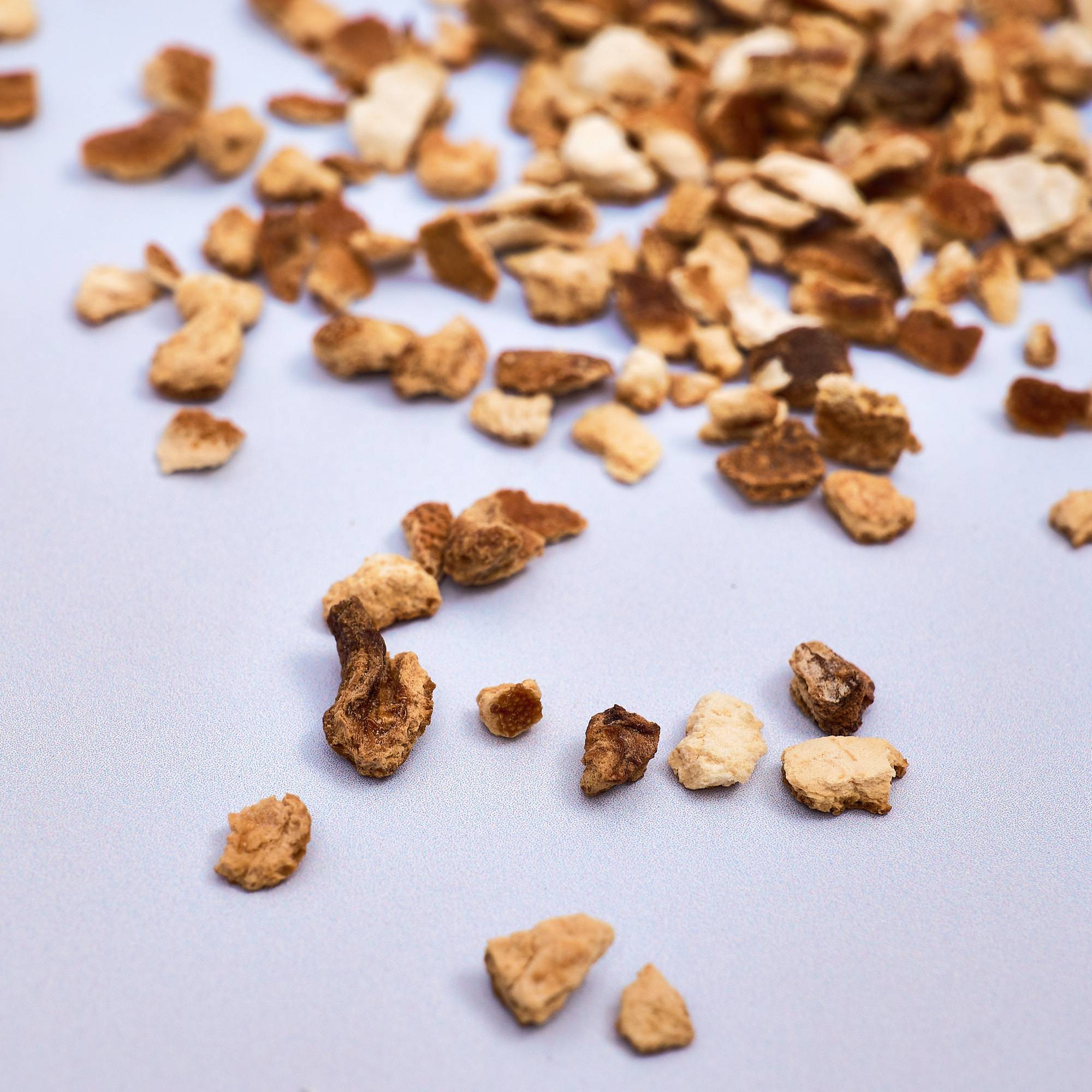 9581 Lemon Peel - Cut & Dried