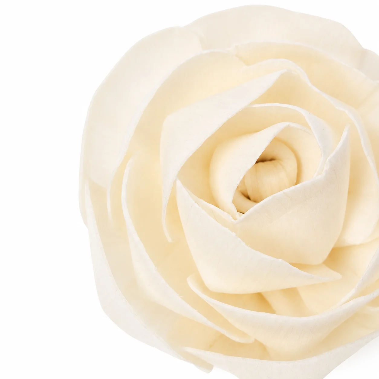Flower Diffuser Reed - Rose Flower Diffuser Reed - Rose