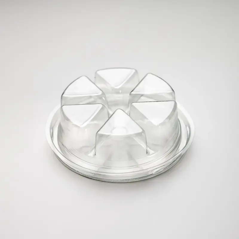 2476-800x800 6 Segment Deli Pot