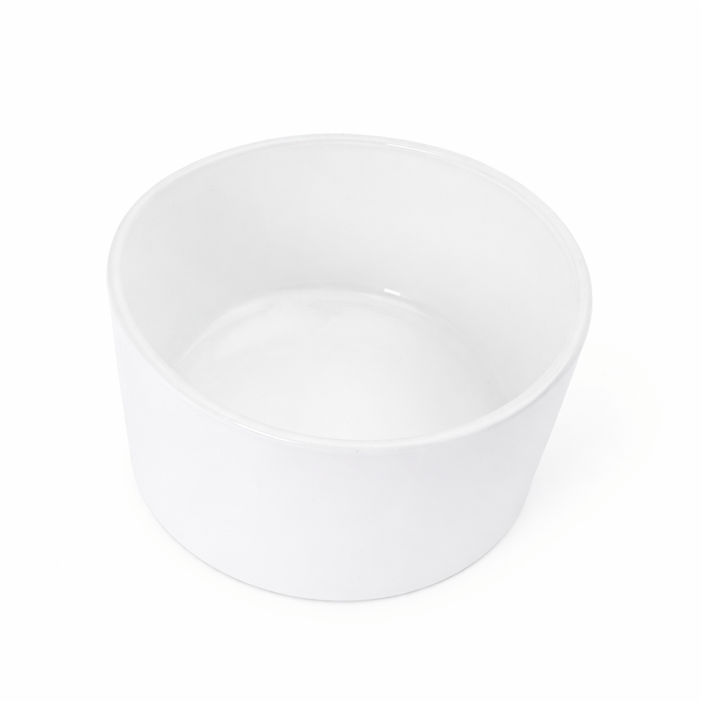 ChatGPT Image Mar 17, 2026, 11_33_08 AM