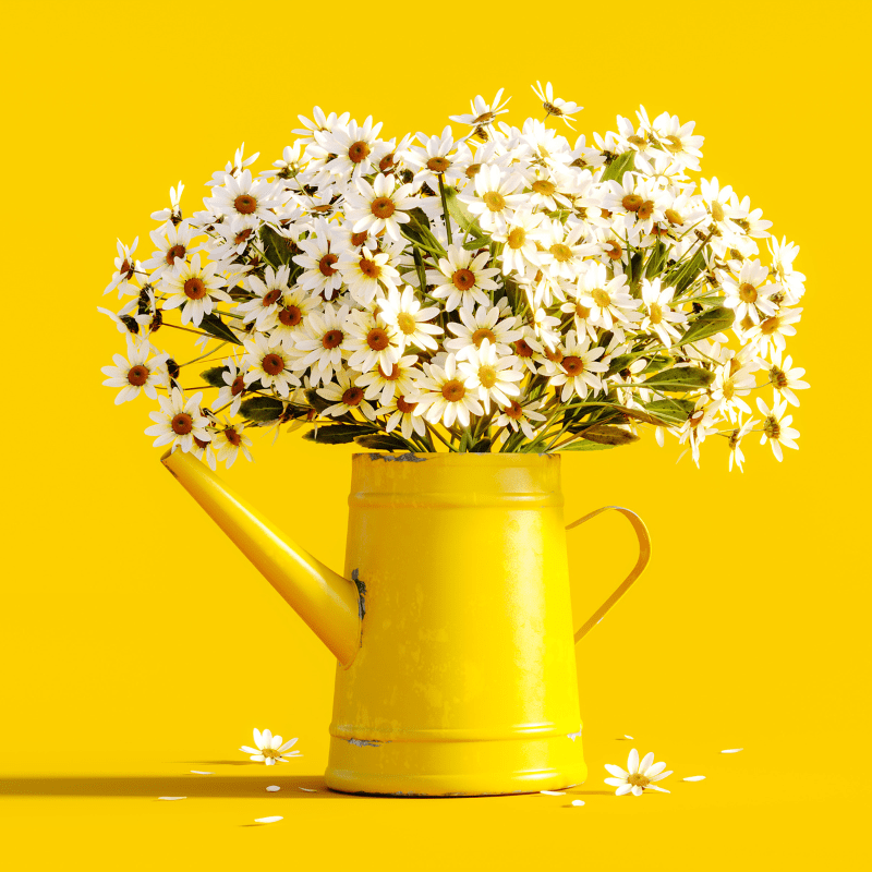 7739 Spring Blossom and Rain Fragrance Oil