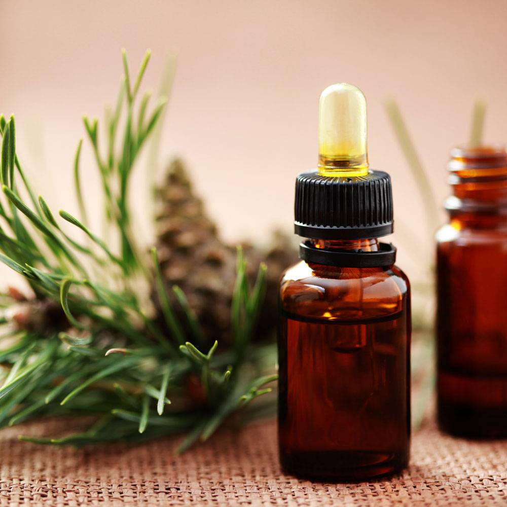 8020 Pine Needle Essential Oil