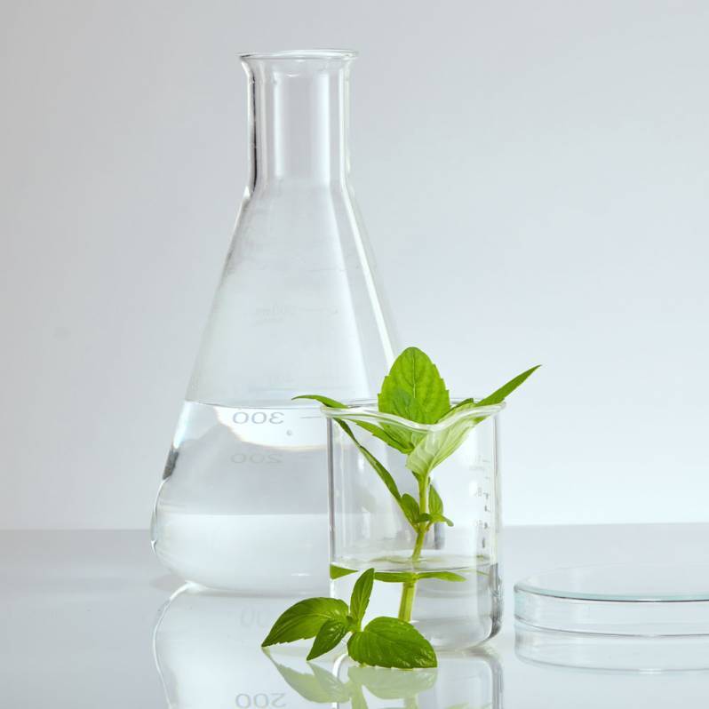 8531 Natural Reed Diffuser & Room Spray Base