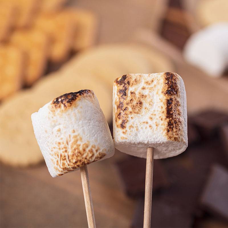 9276 Toasted Marshmallow Fragrance Oil