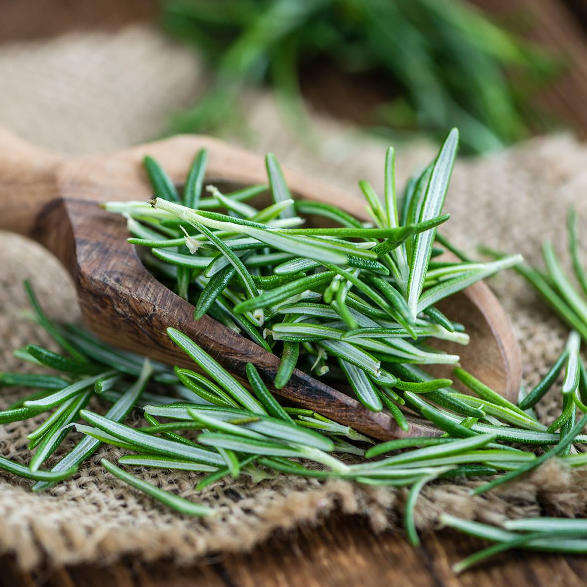 9335 Rosemary Extract - Antioxidant