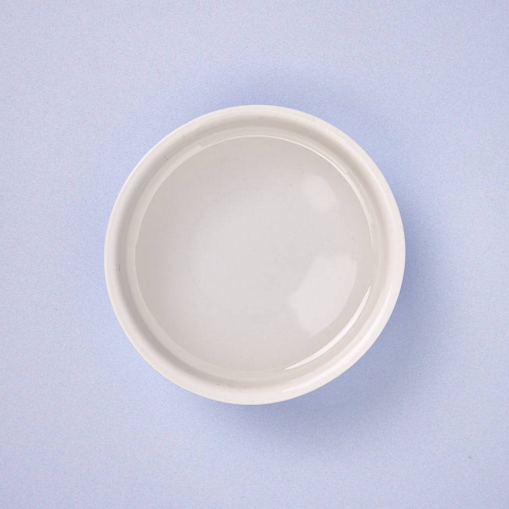 9737 Acetic Acid (Concentrated)