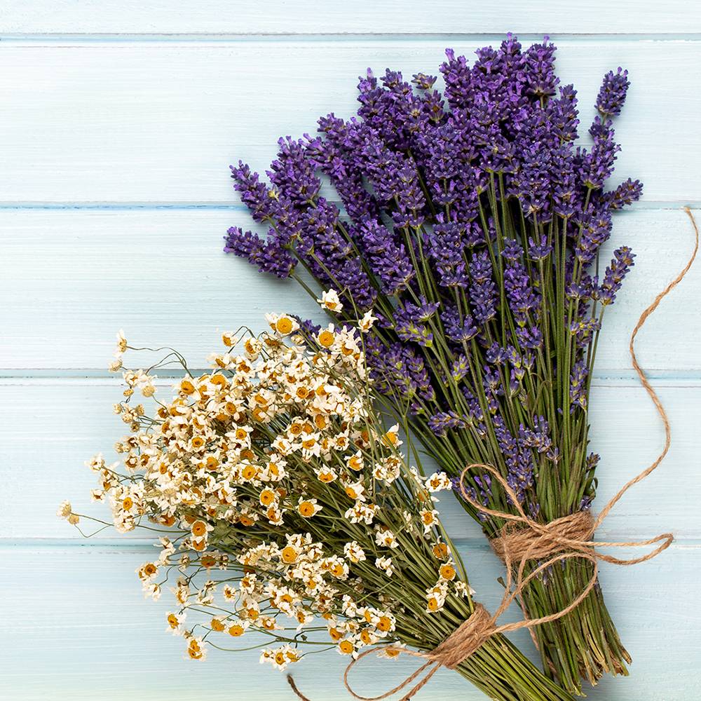 8130 Lavender & Chamomile Fragrance Oil, Low Allergen