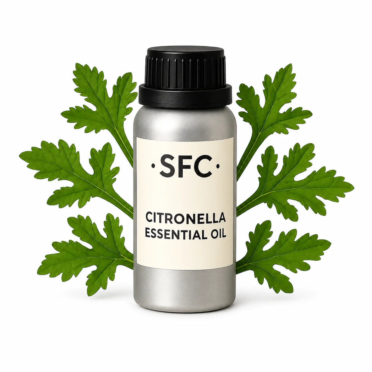 Citronella Essential Oil Citronella Essential Oil