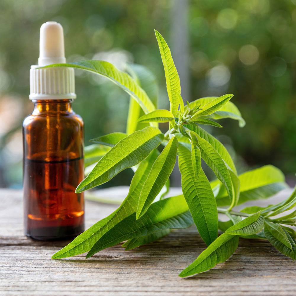 7022 Verbena Essential Oil