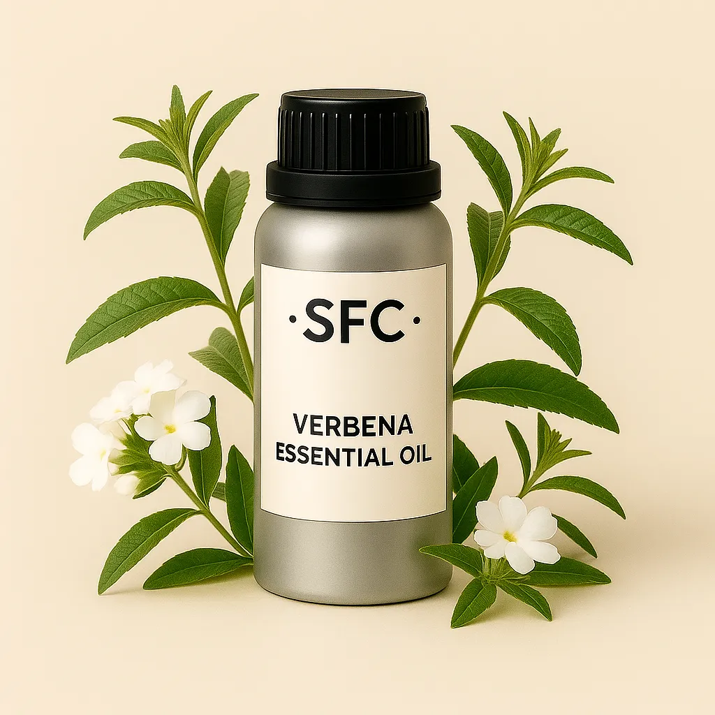 Verbena Verbena Essential Oil