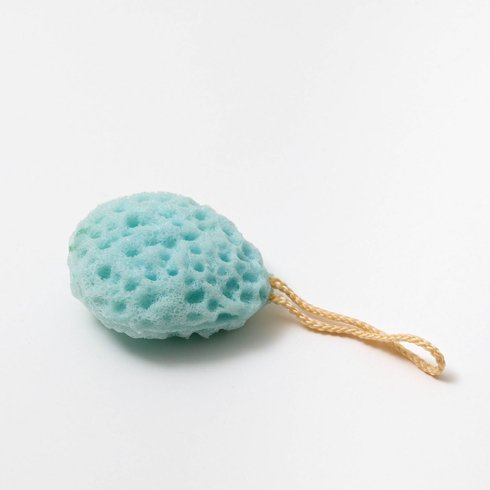 12389 Small Sponge - Blue