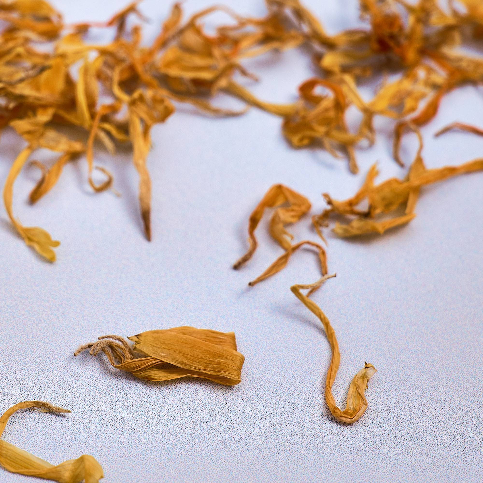 9575 Calendula Petals - Marigold