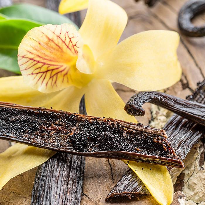 9503 Vanilla Flavour