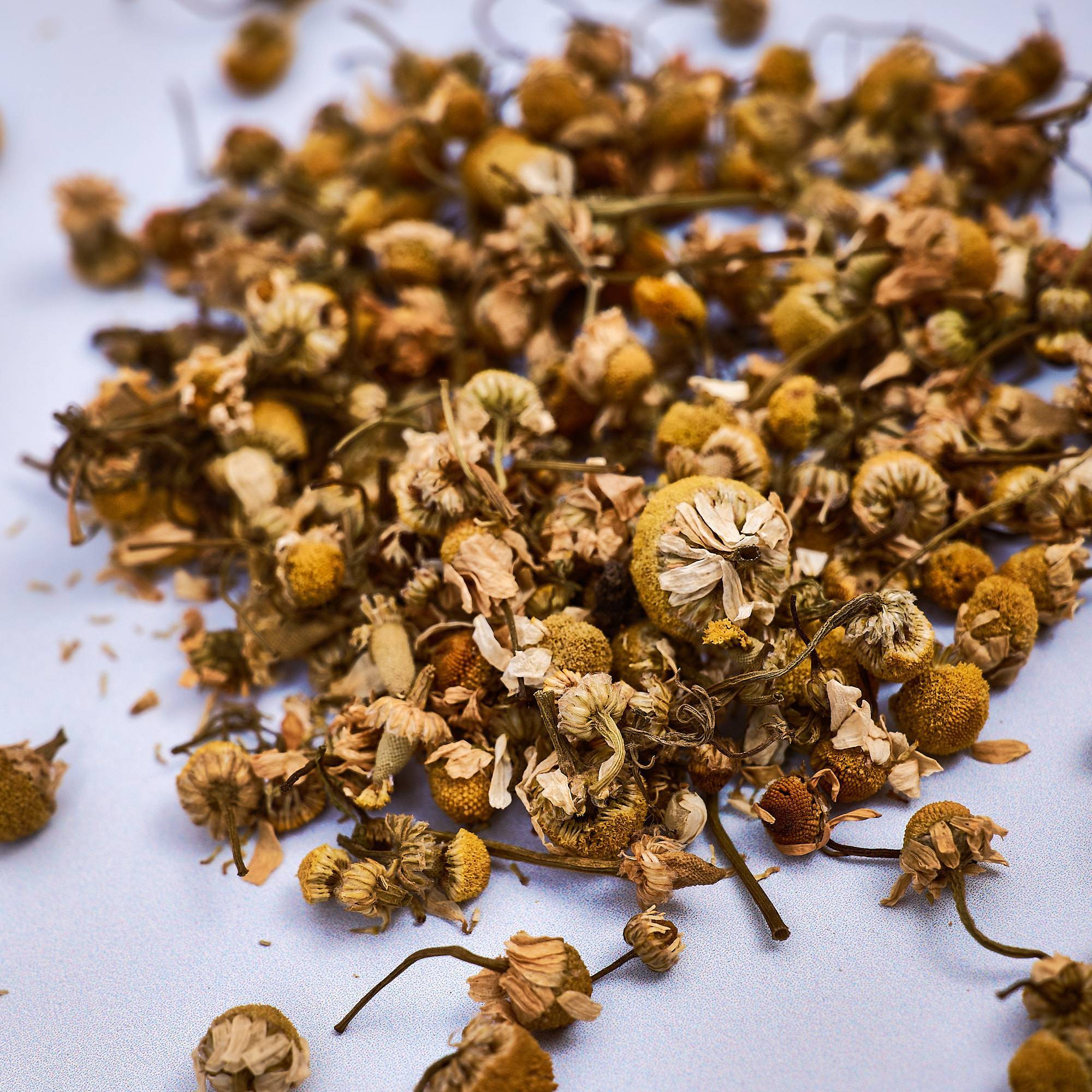 9552 Chamomile Flowers