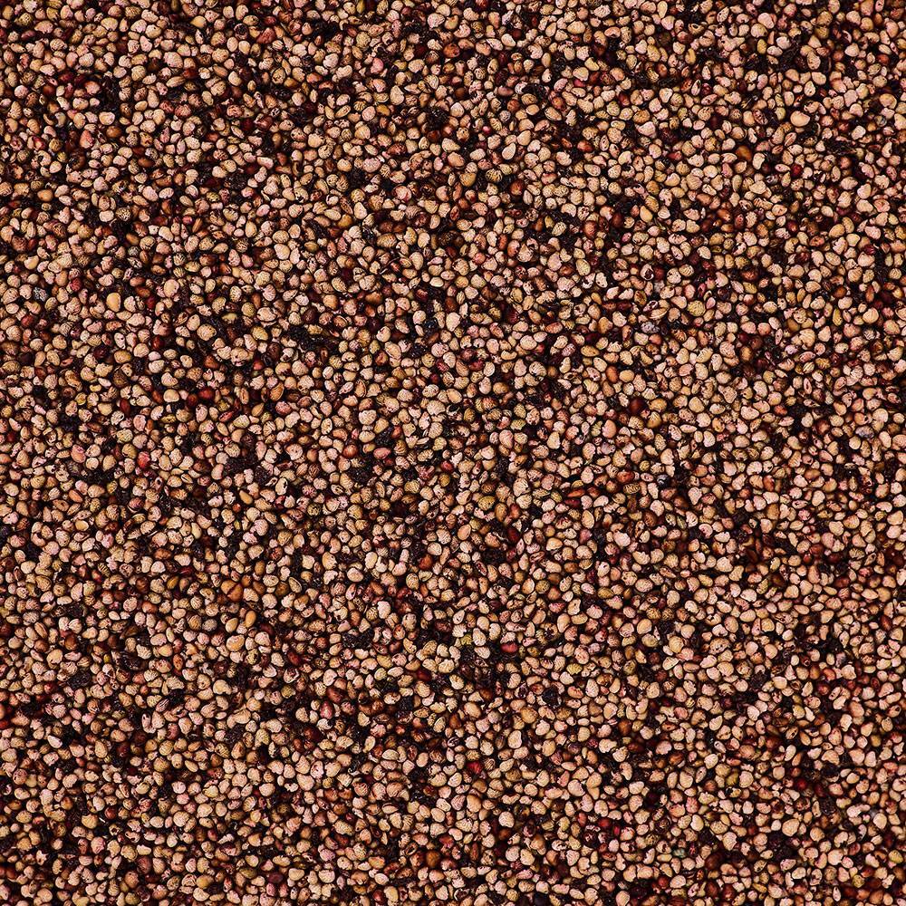 9622 Strawberry Seeds