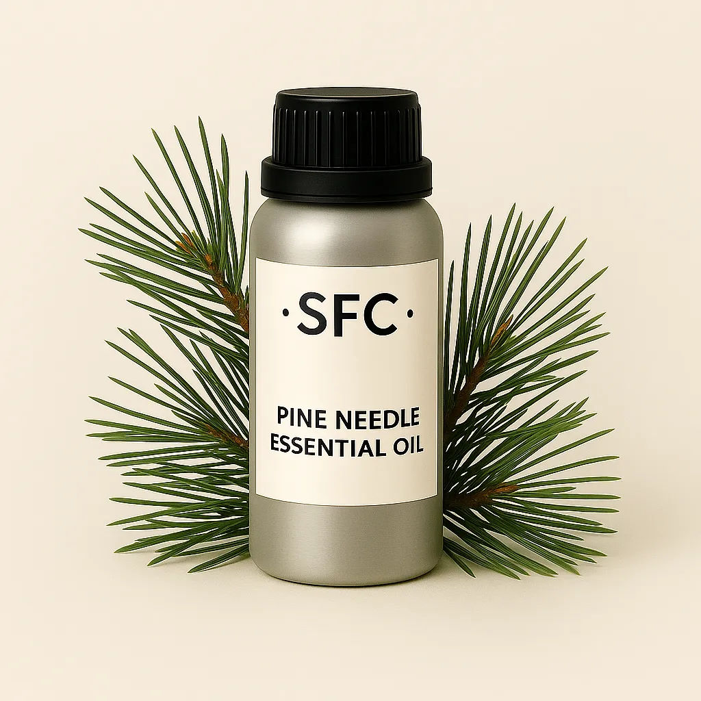 Pine Needle Pine Needle Essential Oil